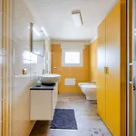 Gufo Di Mare - Giallo *